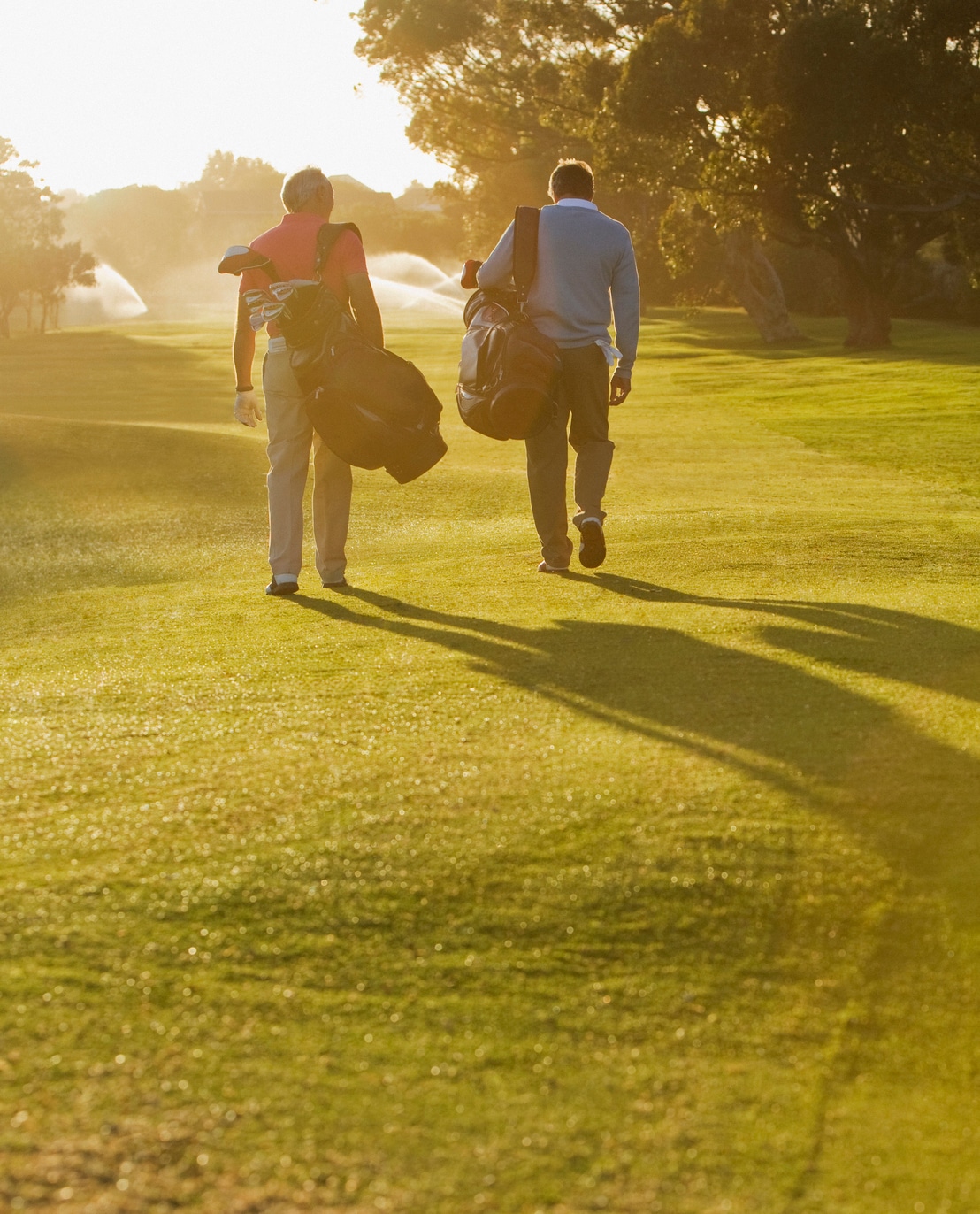 People Walking on Green