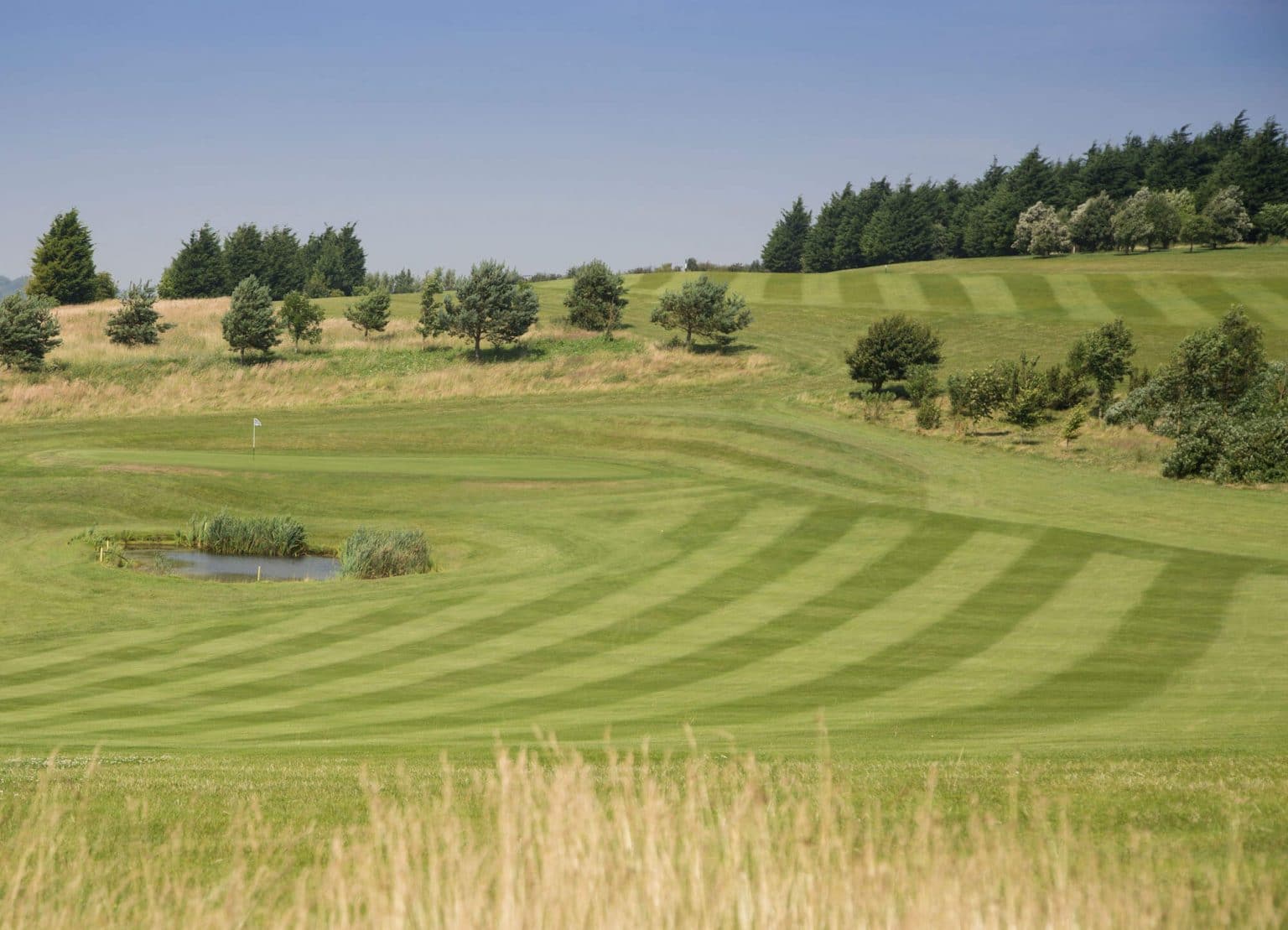 18 Hole Green Fee Weekends and Bank Holidays Etchinghill Golf Trust